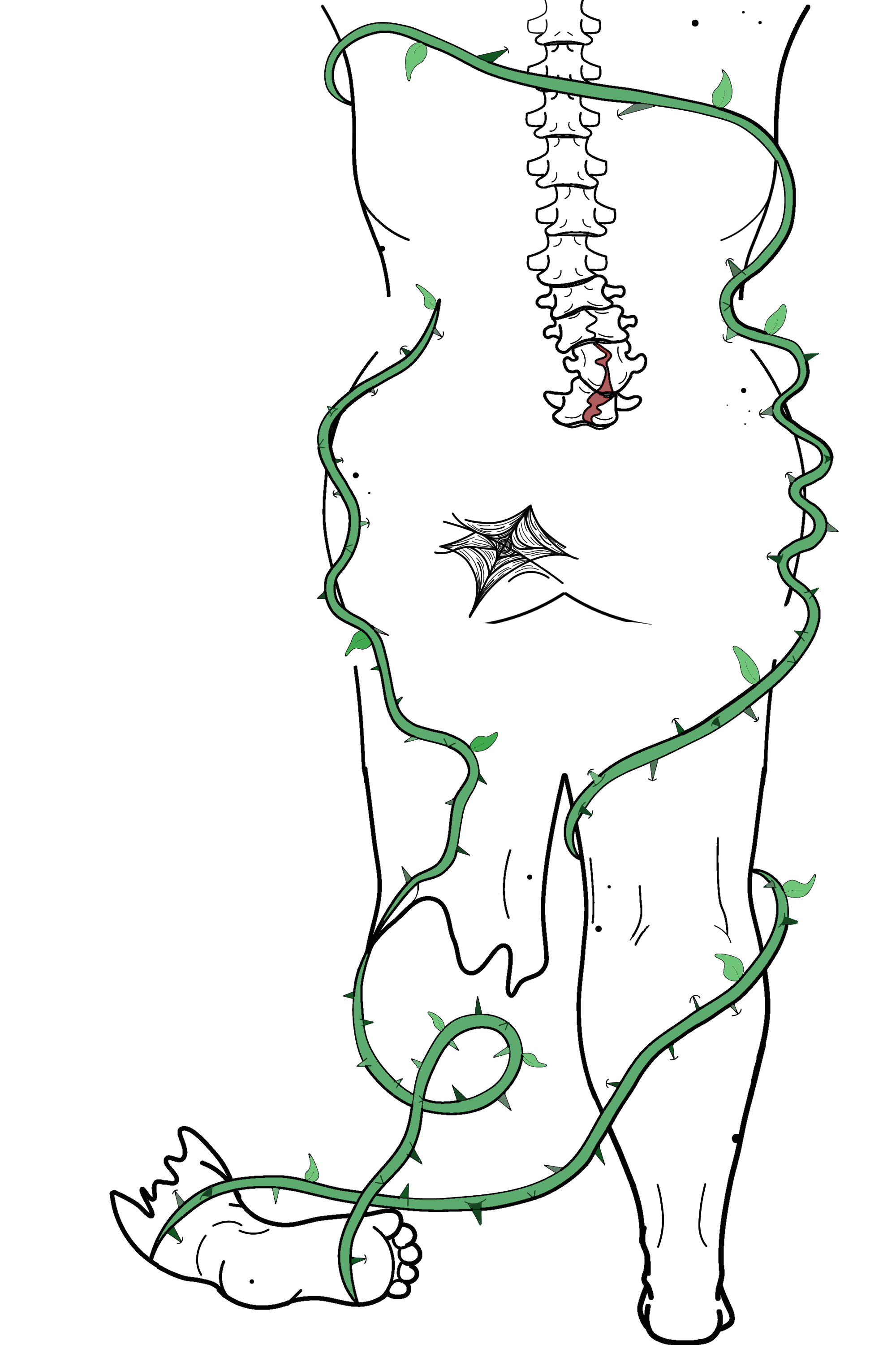 Art 6